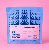 B22 Brazilian Coffee (Whole Beans)
