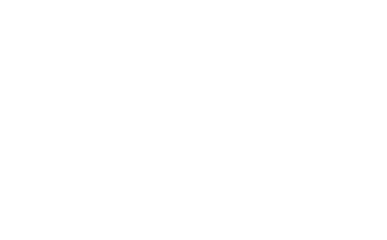 Borough 22 Doughnuts 