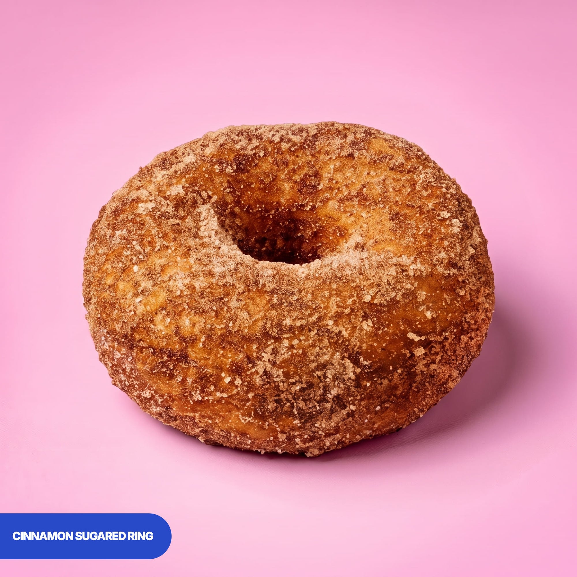 Gluten free vegan baked ring doughnut rolled in cinnamon sugar