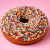 Gluten free vegan Dot ring doughnut covered in rainbow hundreds and thousands, from the Little Celebration Box