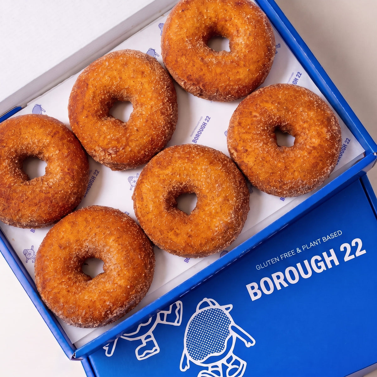 Open Borough 22 box of six gluten free vegan fried ring doughnuts rolled in cinnamon sugar